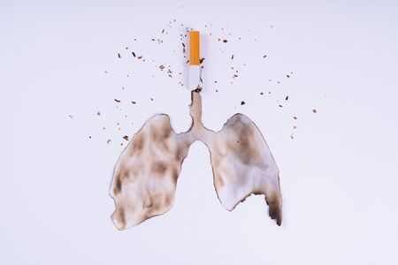 Cigarette smoke's lungs. The cigarette destroy lungs on white background. Cigarette causes cancer and kill. No smoking campaign concept.の写真素材