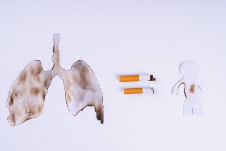Cigarette smoke's lungs. The cigarette destroy lungs on white background. Cigarette causes cancer and kill. No smoking campaign concept.の写真素材