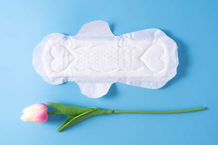 Sanitary pad, Sanitary napkin with tulip flower on blue background. Menstruation, Feminine hygiene, top view.の写真素材