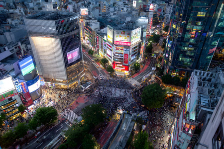 Busy city travel landscape at night with many people crossing.の素材