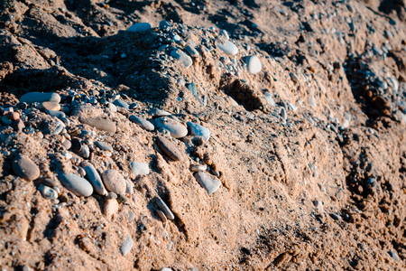 Raw Petoskey Stones in the sand on the beach in Charlevoix Michiganの写真素材