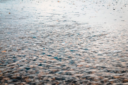Shells being pulled out to the ocean