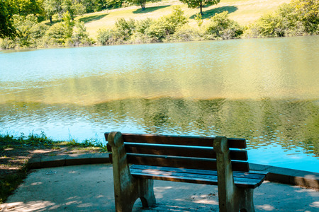 Bench over looking a pond on a sunny summer dayの写真素材