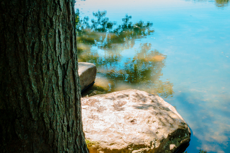 Close up of rock on the bank of a lakeの写真素材