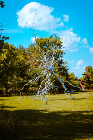 Statue of a brain synapse at the Frederik Meijer Gardensの写真素材