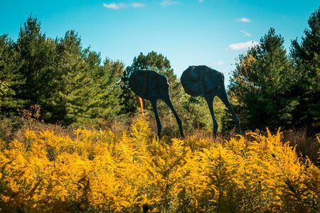 Two legged creature statues in a field of yellow flowers in the Frederik Meijer Gardens in Grand Rapids MIの写真素材