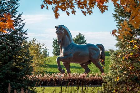 The American horse statue at the Frederik Meijer Gardens framed in the autumn treesの写真素材