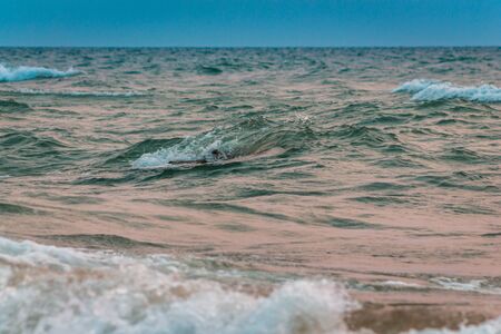 Waves crashing on the beach of Lake Michigan at sunset in Saugatuck Michiganの写真素材