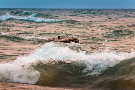 Waves crashing on the beach of Lake Michigan in Saugatuck Michiganの写真素材