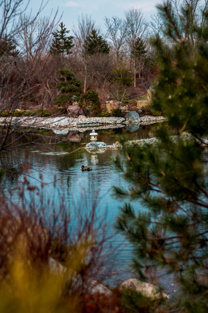 Lonely stone lantern on a lake in the japanese gardenのeditorial素材