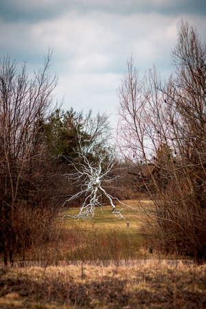 Neuron sculpture at the Frederik Meijer Gardensのeditorial素材