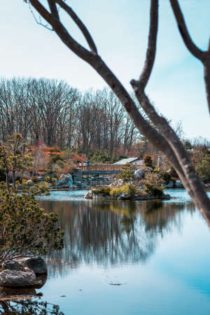 Shot of the bridge in the japanese garden from the far side of the gardenのeditorial素材