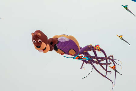 Bear and Octopus kite at the kite festivalのeditorial素材