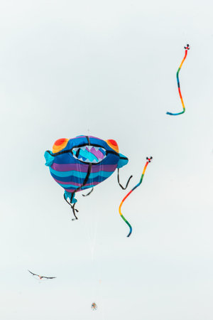 Giant fish flying in the sky at the beach in Grand Havenのeditorial素材