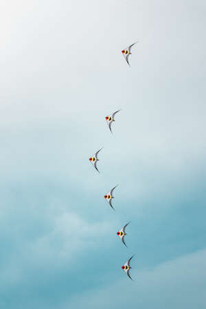 Kites flying during kite show in Grand Rapids Michiganのeditorial素材