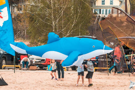 Large dolphin kite at the kite festival in Grand Haven Michiganのeditorial素材