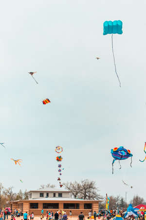 Kite festival at the beach in Grand Havenのeditorial素材