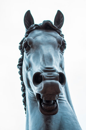 The face of the American horse statueのeditorial素材