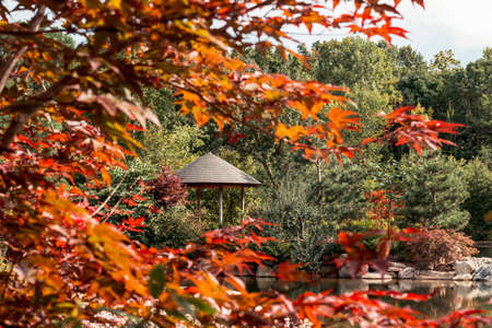 Gazebo framed by the leaves of a japanese maple treeのeditorial素材