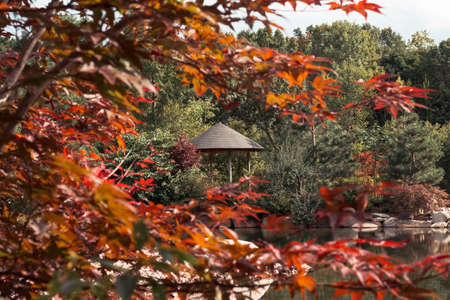 Gazebo framed by the leaves of a japanese maple tree at the Frederik Meijer Gardensのeditorial素材