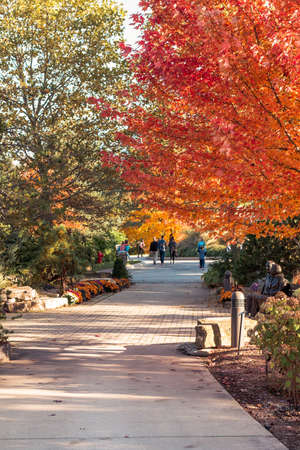 Autumn path through the statue gardenのeditorial素材