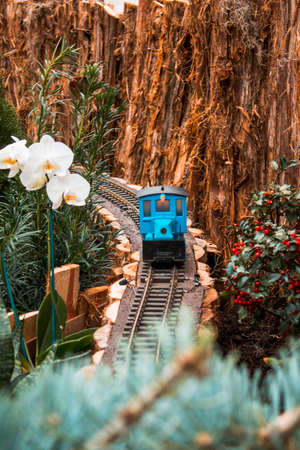Blue model train in the seasonal train gardenのeditorial素材
