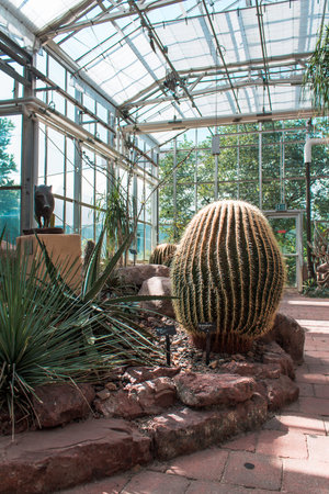 The arid greenhouse at the gardensのeditorial素材