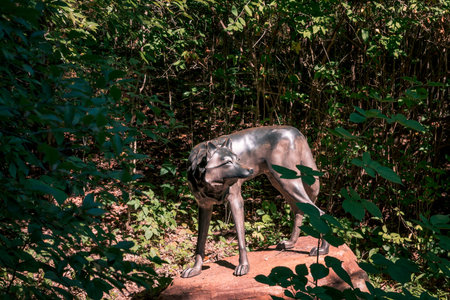 Wolf statue in a gardenのeditorial素材