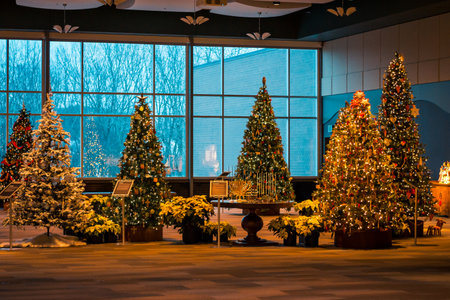 Christmas tree display at the gardensのeditorial素材
