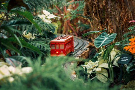 Model trolley train running along a track in a horticultural exhibitのeditorial素材