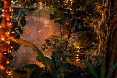 Waterfall haze illuminated by christmas lightsの写真素材