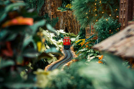 Small red model train in a horticultural holiday exhibitのeditorial素材