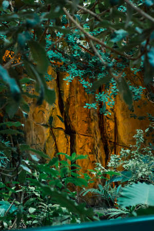 Waterfall in the tropical greenhouse at nightの写真素材