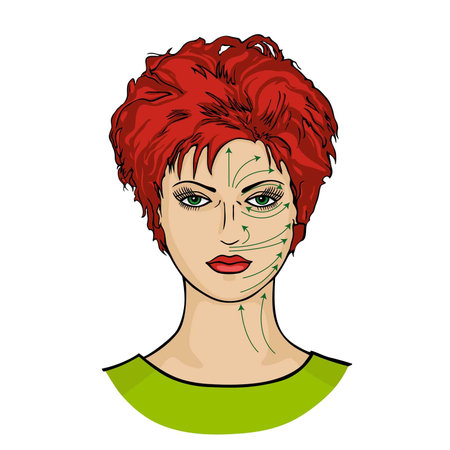Sheme massage lines on womans faceのイラスト素材