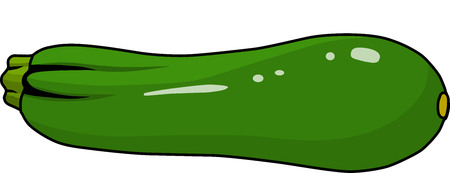 Zucchiniのイラスト素材
