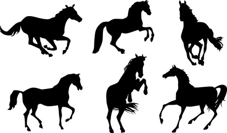 Horses silhouettes setのイラスト素材
