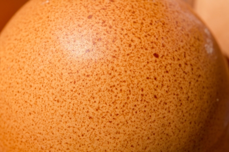 Egg shell textureの写真素材