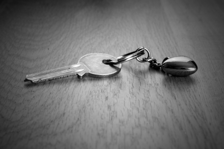 Black   White House Keyの写真素材