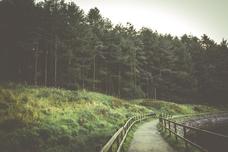 Countryside scene with a retro style overlayの写真素材