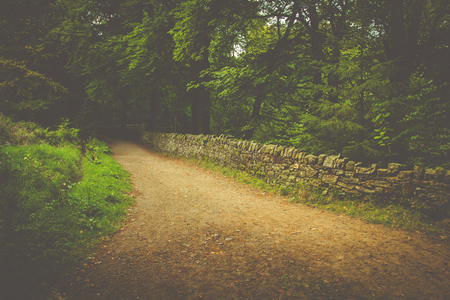 Countryside scene with a retro style overlayの写真素材