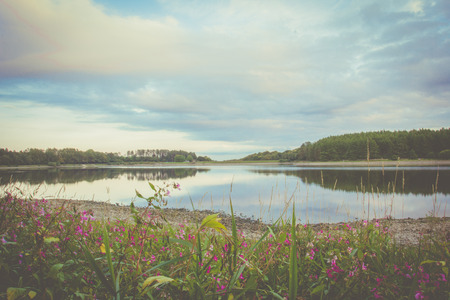 Countryside scene with a retro style overlayの写真素材