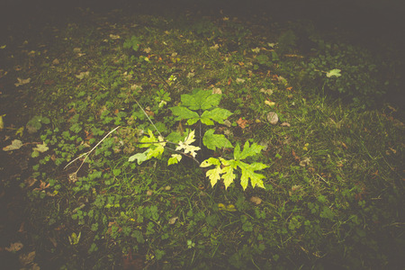 Countryside scene with a retro style overlayの写真素材