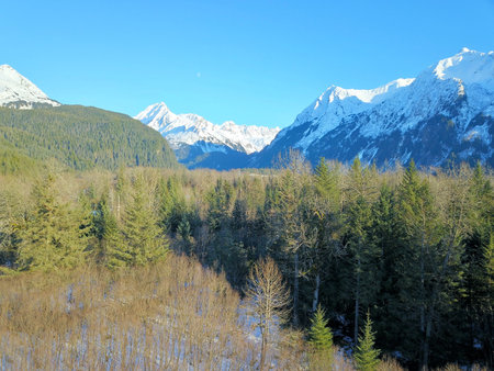 Alaska wilderness views