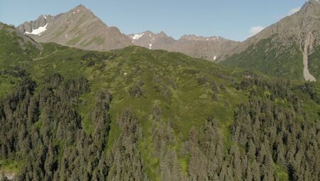 Wild Alaskaの写真素材
