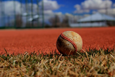 Baseball laying in the outfield on sunny day.の写真素材