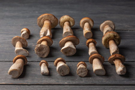 Porcini or white mushrooms on wooden table.