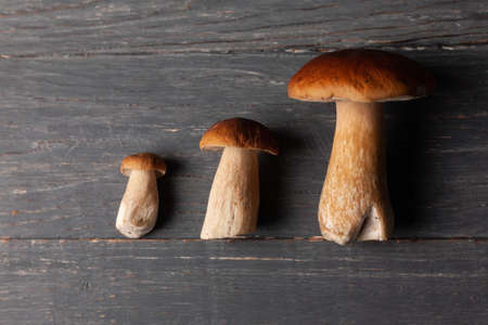 Three porcini or white mushrooms on wooden table. Flat lay close up.の写真素材
