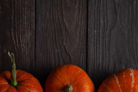 Three pumpkins in a row on wooden table. Copy space.の写真素材