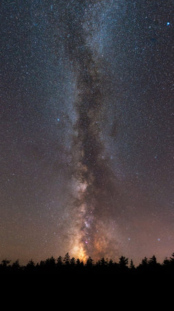 Milky Way Galaxy behind a silhouette of trees