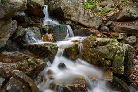 Silver Spray Falls in Northern New Jersey during autumn